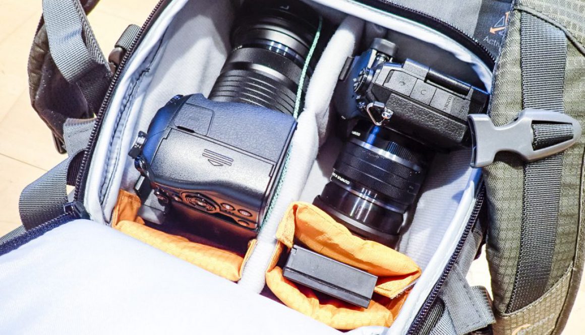 Lowepro Flipside Trek 250