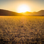 Sonnenuntergang in der Namib