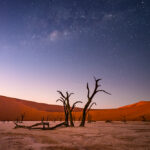 NAM30124-3-Timeblend NAM30124-3-Timeblend