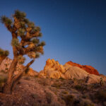 _SF20010-2-Composing _SF20010-2-Composing