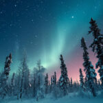 adrianrohnfelder_aurora_borealis_above_a_snow_covered_red_fores_c60147d9-ad37-4f4c-a536-8defa56624e9