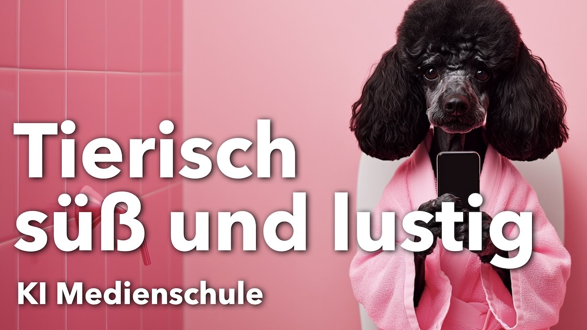 Tierisch süß & lustig