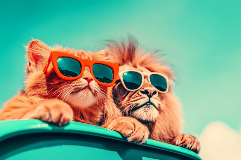 adrianrohnfelder_wide_angle_go_pro_selfie_of_a_red_cat_and_a__2913f2ef-e25f-4742-9402-ecd24850afae_0